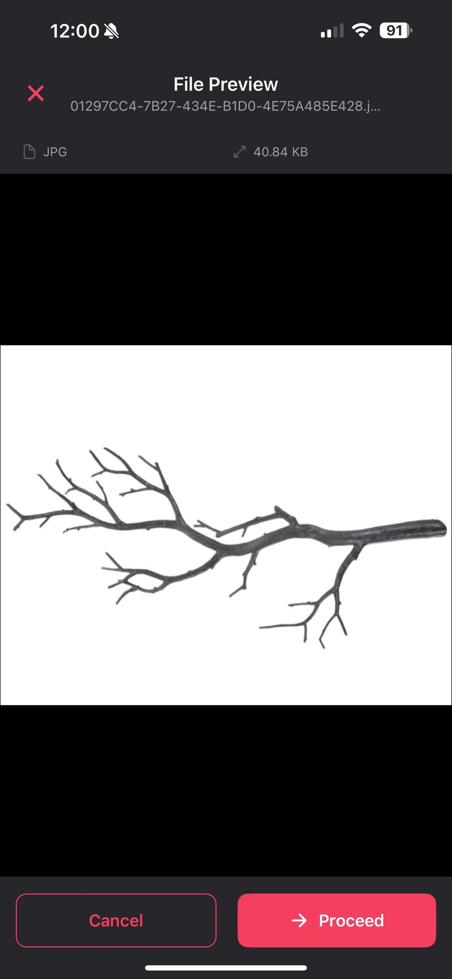 A file preview in LocalConvert before converting: a 40.84 KB JPG photograph of a bare tree branch, with Cancel and Proceed buttons.