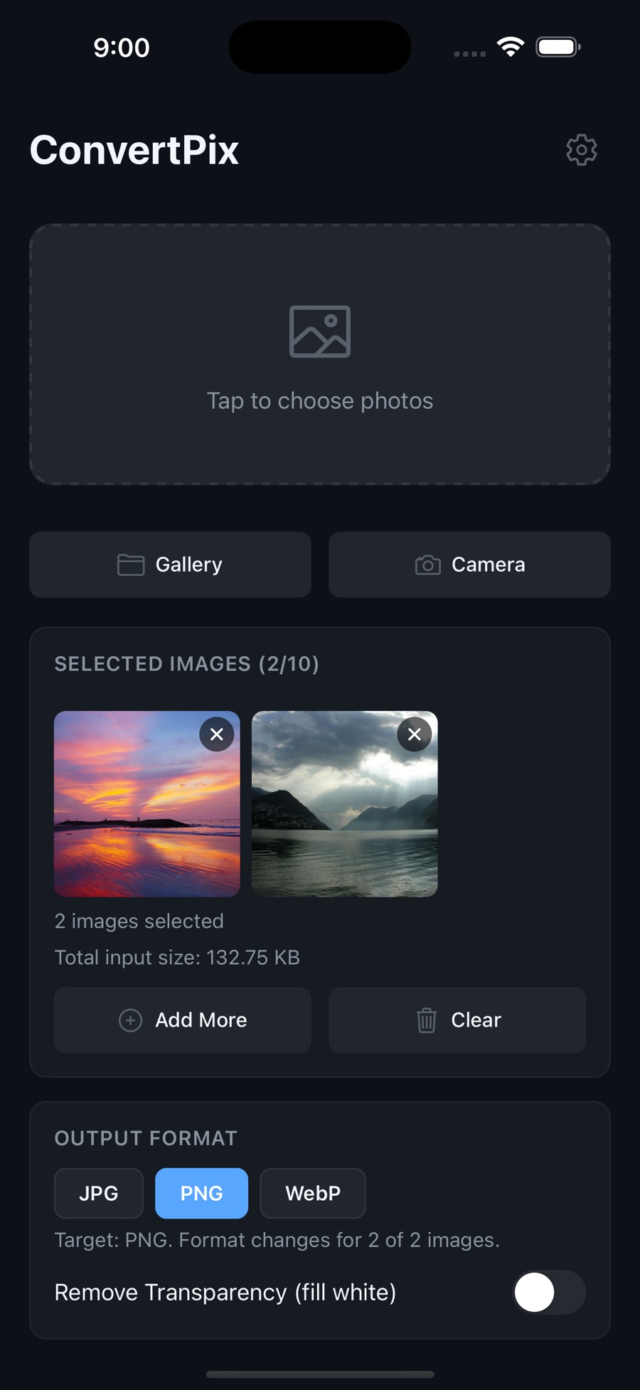 Two photos selected for batch conversion in ConvertPix — a sunset and a mountain lake — with a 2 of 10 counter, a total input size of 132.75 KB, and Add More and Clear buttons.