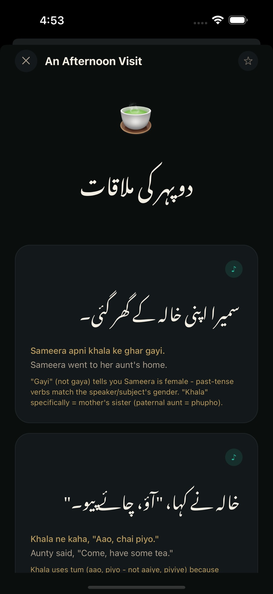 The story “An Afternoon Visit” (دوپہر کی ملاقات), with each Urdu sentence followed by Roman Urdu, an English translation and a grammar note — for example explaining that “gayi” rather than “gaya” marks Sameera as female, and that “khala” means mother's sister.